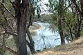 Bourke Darling River