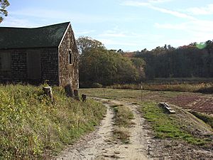 Canberry bog W