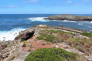 Cape de Couedic.jpg