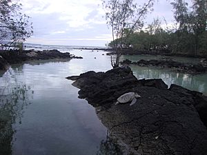 Carlsmith Beach Park