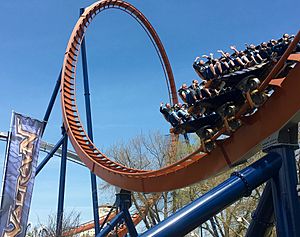 Cedar Point Valravn train going through loop (5431)