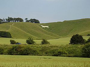 Cherhillwhitehorse