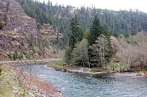 ClackamasRiver at Big Cliff.jpg