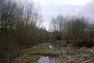 Cromford in water