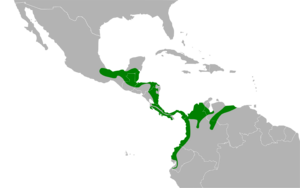 Cyanoloxia cyanoides map.svg