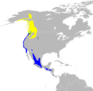 Dendroica townsendi map.svg