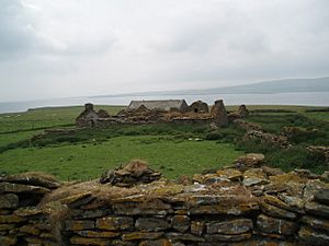 Derelict Farm, Gairsay