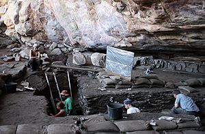 Diepkloof-excavation-2009