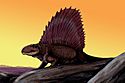 Dimetrodon8DB