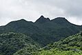 El Yunque close-up