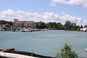 Elk Rapids River from US31