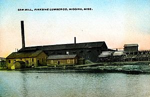 Finkbine Lumber Company Sawmill, Wiggins