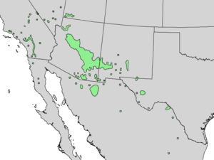 Fraxinus velutina range map 4.png