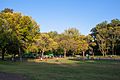 Green Brook Park Playground; Plainfield, New Jersey