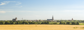 View of the city with St Mary's, St Nicholas' and St James'