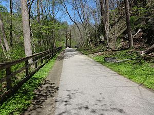 Grist Mill Walking Bridge 01