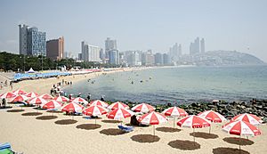 Haeundae Beach in Busan