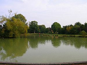 Hailsham Common Pond - geograph.org.uk - 62575