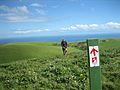 Heysen Trail near Waitpinga