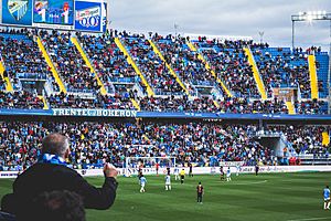 La Rosaleda 2014