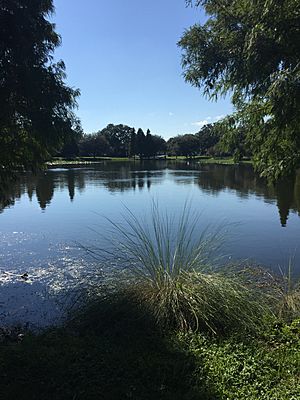 Lake Roberta 