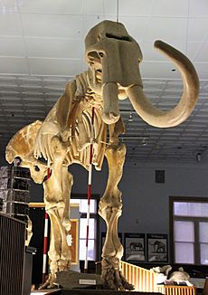 MammothTrailsideMuseumFtRobinsonNE