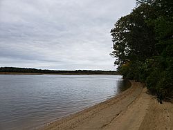 Maurice River from the Bluffs