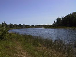 Mink River Estuary.jpg