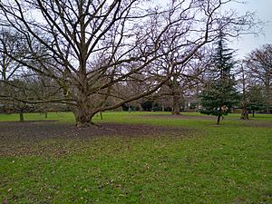 Montpelier Park 2