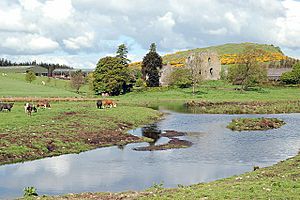 New pond at Creich - geograph.org.uk - 806038