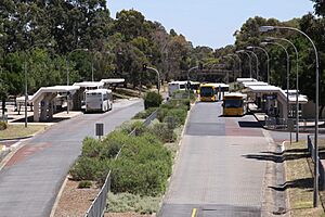 Paradise Interchange, O-Bahn Busway, Adelaide