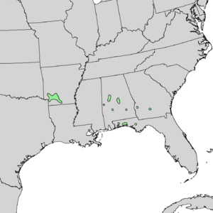 Quercus arkansana range map 1.png