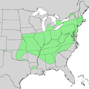 Quercus prinoides range map.png