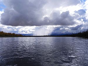 Rain on Birch Creek.JPG