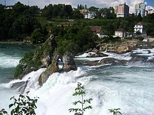 Rheinfall - Laufen 20070521 038