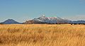 San Raphael Grasslands (4412326574)