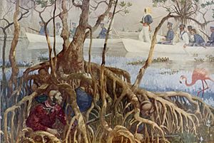 Seminole War in Everglades