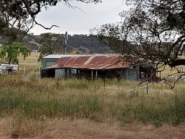 Springrange, New South Wales 3.jpg