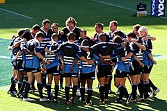 Stormers super 14