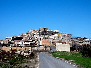 TUDELA DE SEGRE - IB-906.JPG