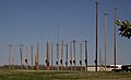 Telephone Pole Orchard? (28776548771)