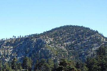 Timber Mountain summit.jpg