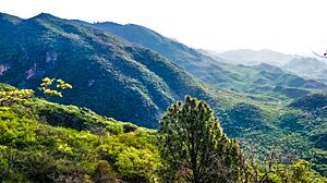 Trail 3 Margalla Hills Islamabad