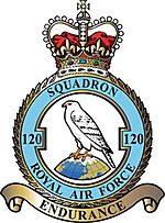 Squadron badge