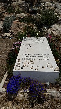 Assi Dayan grave 02