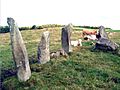 Bocan Stone Circle.jpg