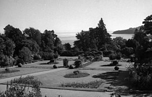 Brodick Castle gardens