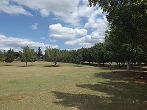 Cameron Park, Booval, Queensland