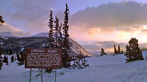 Carcross Desert Winter