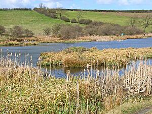 Cassop Vale National Nature Reserve